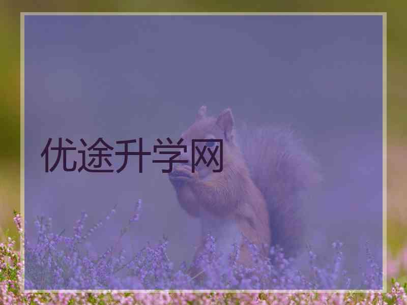 优途升学网 优途升学网