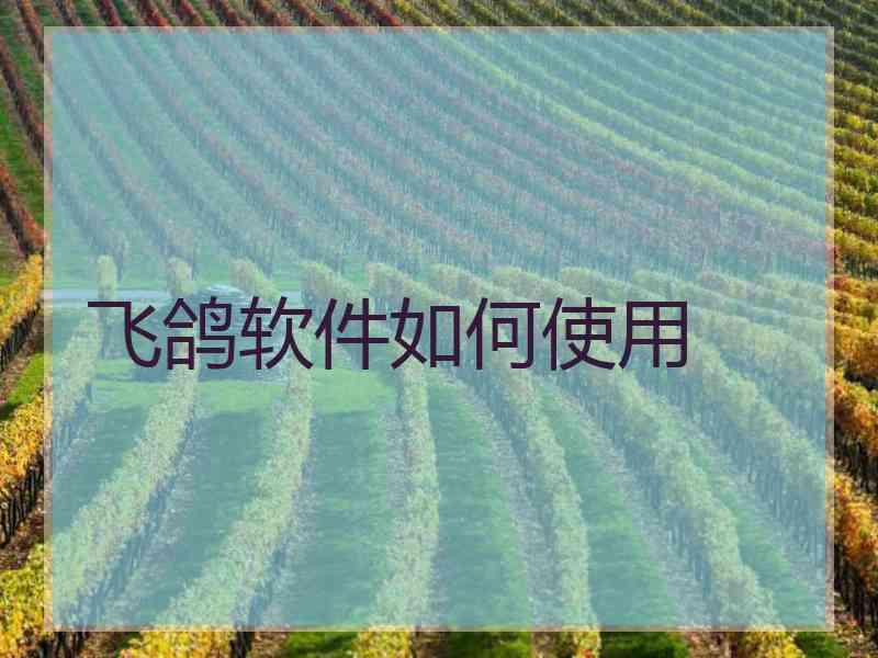 飞鸽软件如何使用 飞鸽软件如何使用