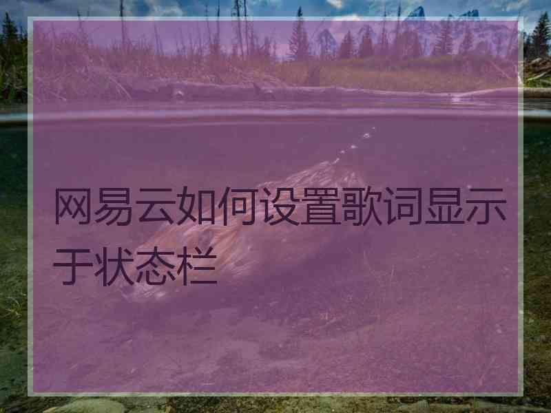 网易云如何设置歌词显示于状态栏 网易云如何设置歌词显示于状态栏