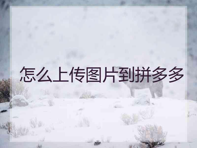 怎么上传图片到拼多多 怎么上传图片到拼多多