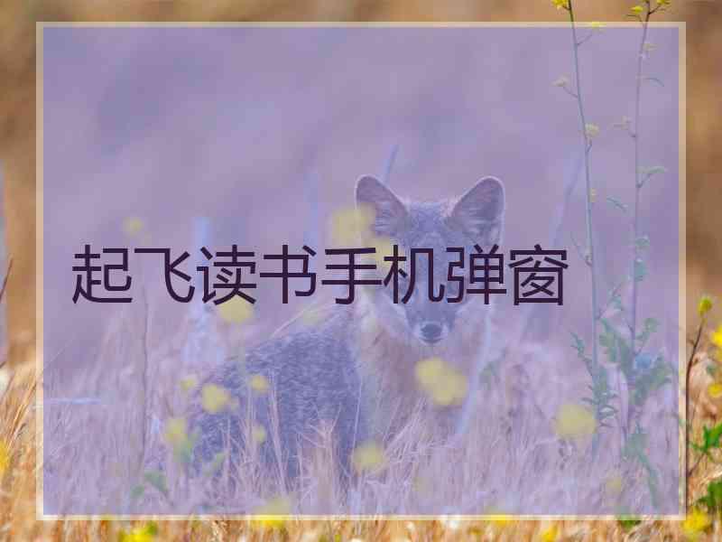 起飞读书手机弹窗 起飞读书手机弹窗