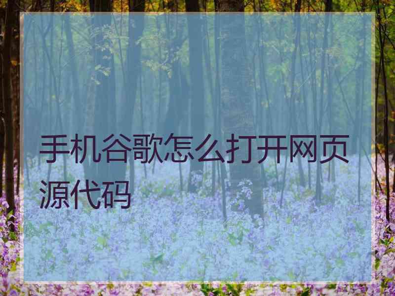 手机谷歌怎么打开网页源代码 手机谷歌怎么打开网页源代码