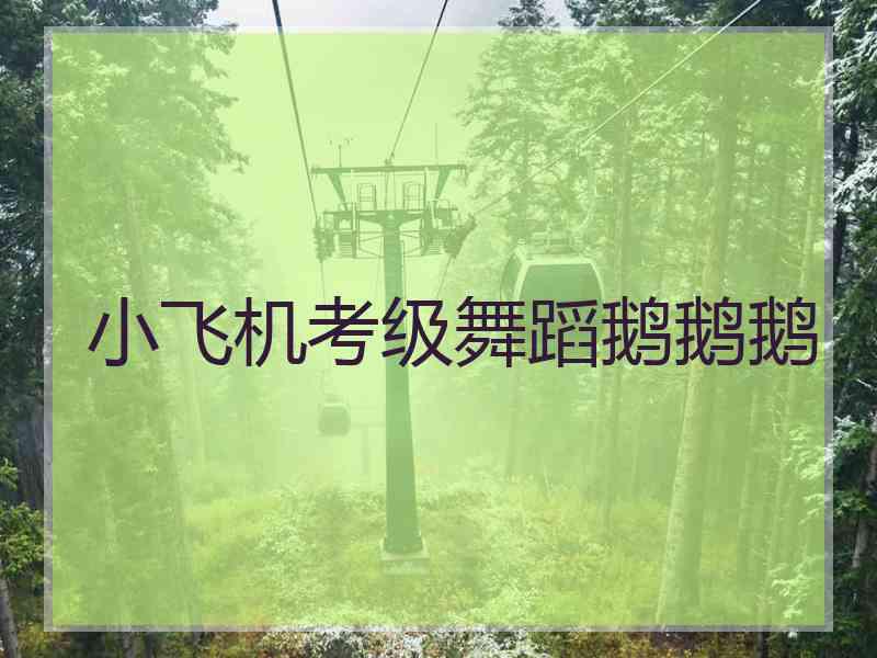 小飞机考级舞蹈鹅鹅鹅 小飞机考级舞蹈鹅鹅鹅