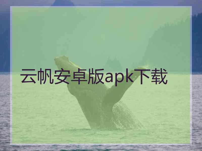 云帆安卓版apk下载 云帆安卓版apk下载