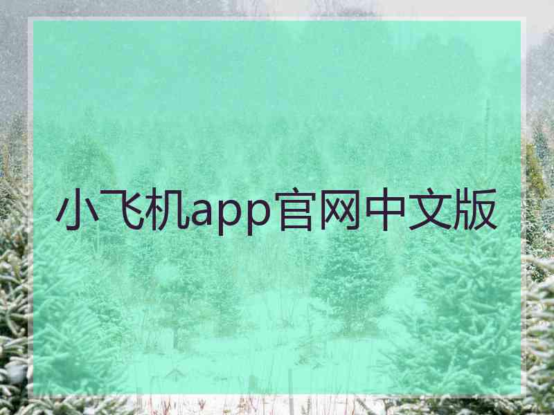 小飞机app官网中文版 小飞机app官网中文版