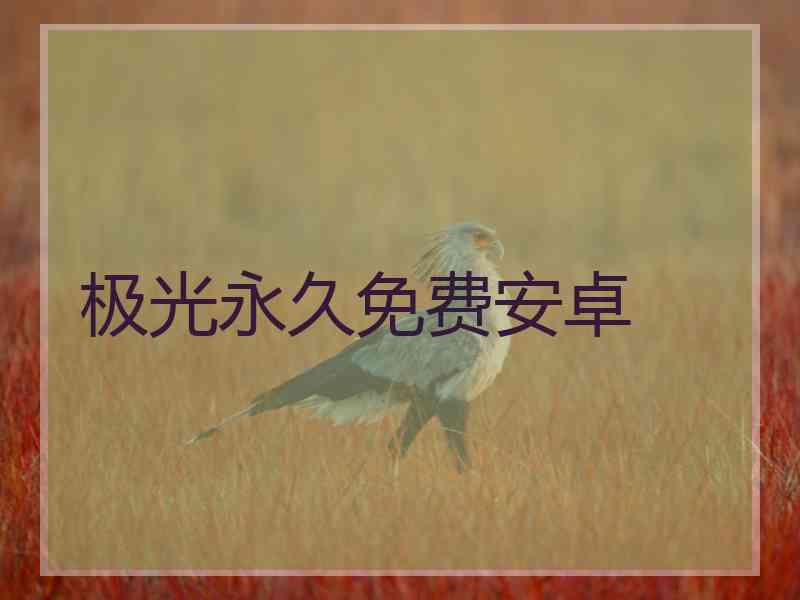 极光永久免费安卓 极光永久免费安卓