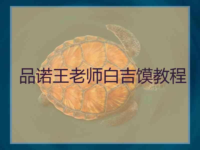 品诺王老师白吉馍教程 品诺王老师白吉馍教程