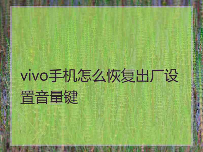 vivo手机怎么恢复出厂设置音量键 vivo手机怎么恢复出厂设置音量键