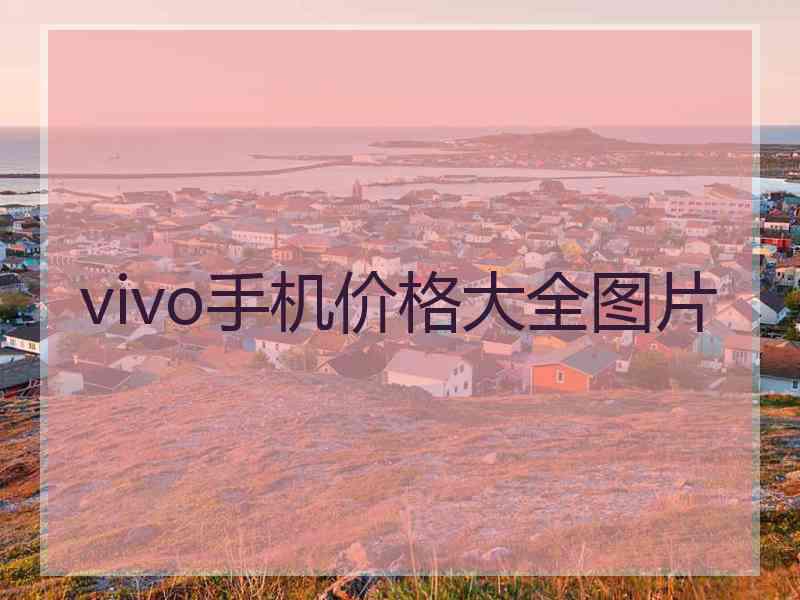 vivo手机价格大全图片 vivo手机价格大全图片