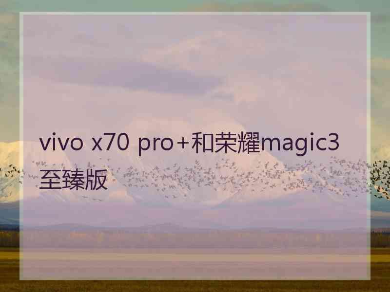 vivo x70 pro+和荣耀magic3至臻版 vivo x70 pro+和荣耀magic3至臻版