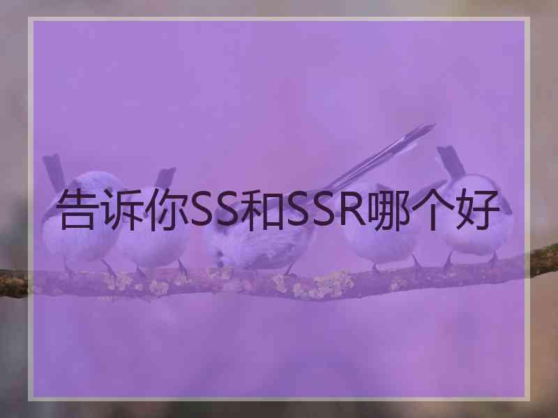 告诉你SS和SSR哪个好 告诉你SS和SSR哪个好