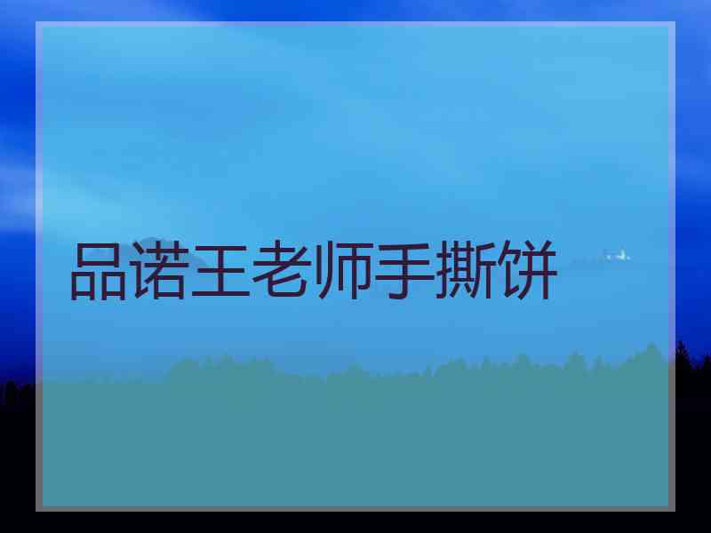 品诺王老师手撕饼 品诺王老师手撕饼