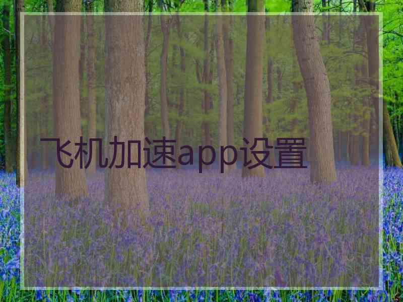 飞机加速app设置 飞机加速app设置