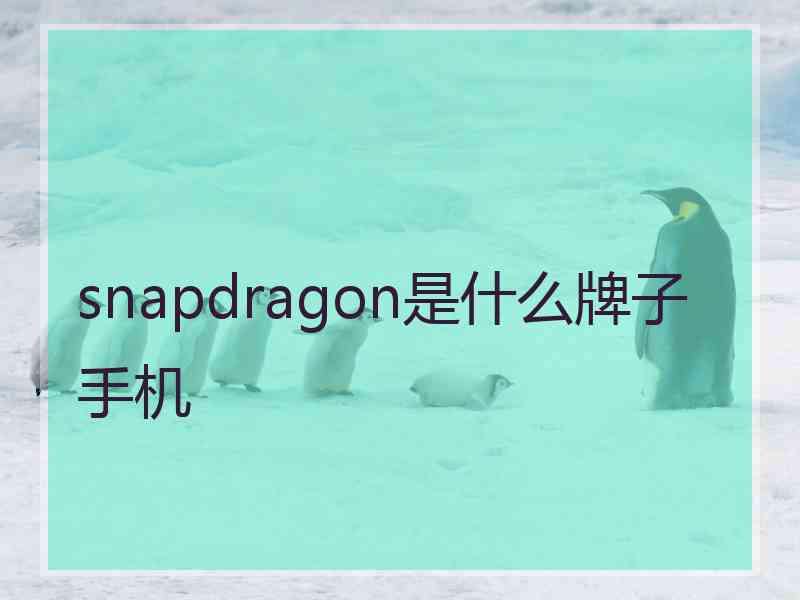 snapdragon是什么牌子手机 snapdragon是什么牌子手机