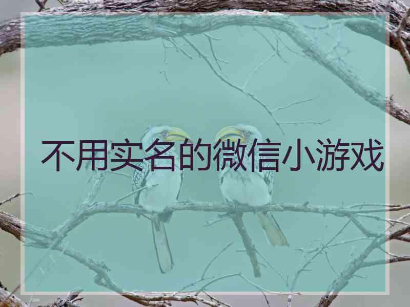 不用实名的微信小游戏 不用实名的微信小游戏