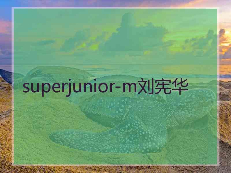 superjunior-m刘宪华 superjunior-m刘宪华