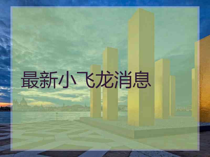 最新小飞龙消息 最新小飞龙消息