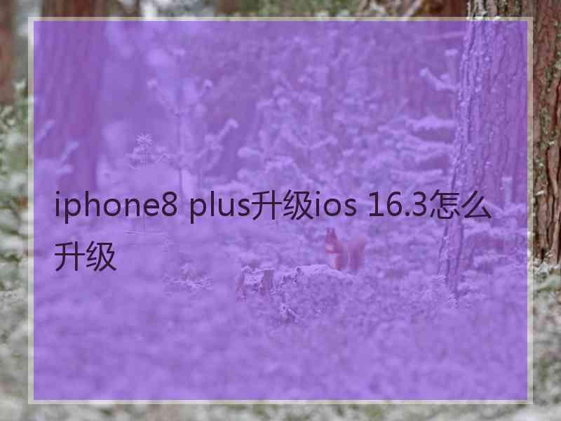iphone8 plus升级ios 16.3怎么升级 iphone8 plus升级ios 16.3怎么升级