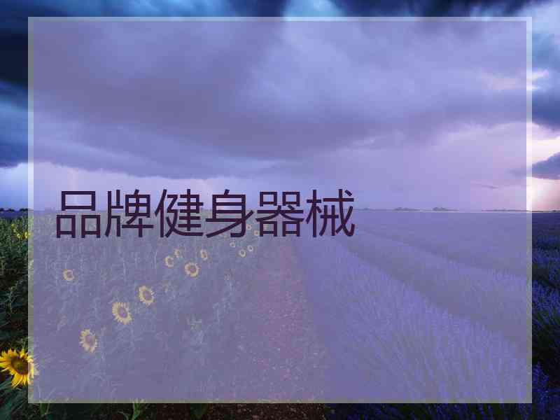 品牌健身器械 品牌健身器械