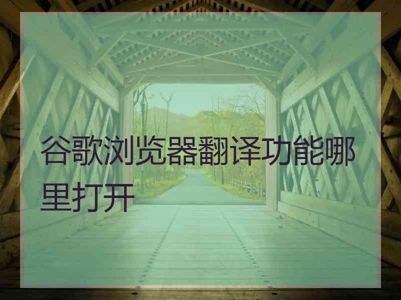 谷歌浏览器翻译功能哪里打开 谷歌浏览器翻译功能哪里打开