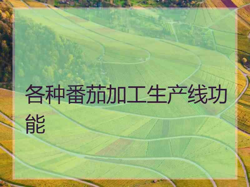 各种番茄加工生产线功能 各种番茄加工生产线功能