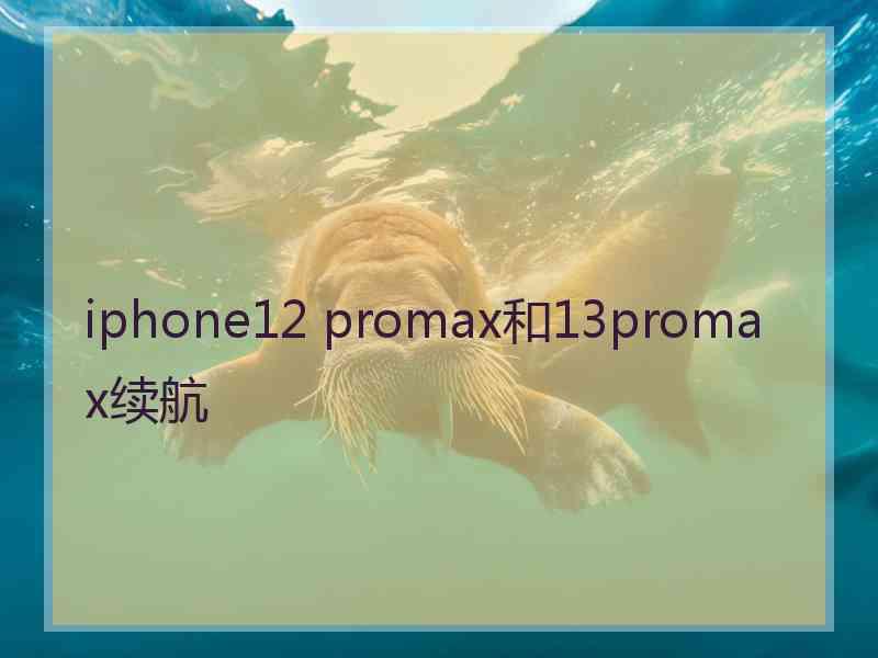 iphone12 promax和13promax续航 iphone12 promax和13promax续航