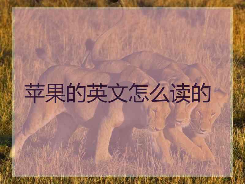 苹果的英文怎么读的 苹果的英文怎么读的