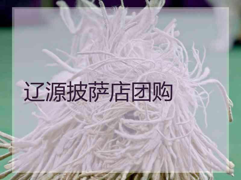 辽源披萨店团购 辽源披萨店团购