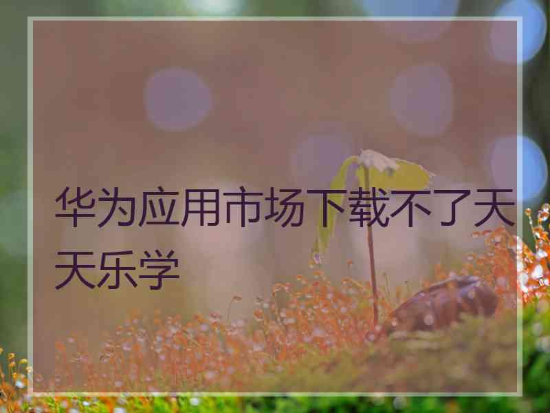 华为应用市场下载不了天天乐学 华为应用市场下载不了天天乐学