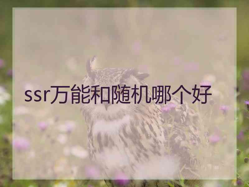 ssr万能和随机哪个好 ssr万能和随机哪个好