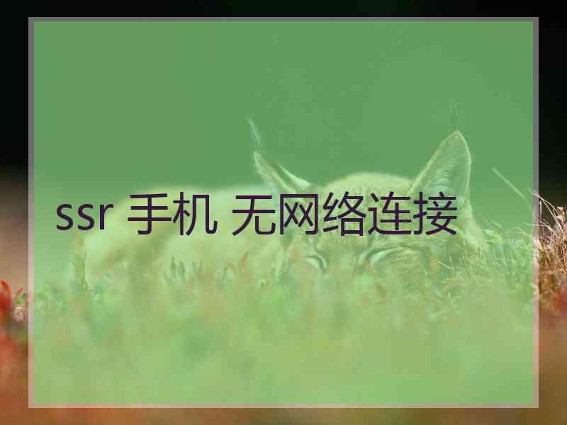 ssr 手机 无网络连接 ssr 手机 无网络连接