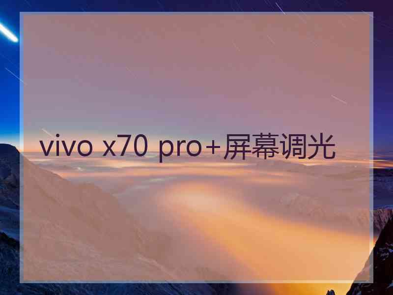 vivo x70 pro+屏幕调光 vivo x70 pro+屏幕调光