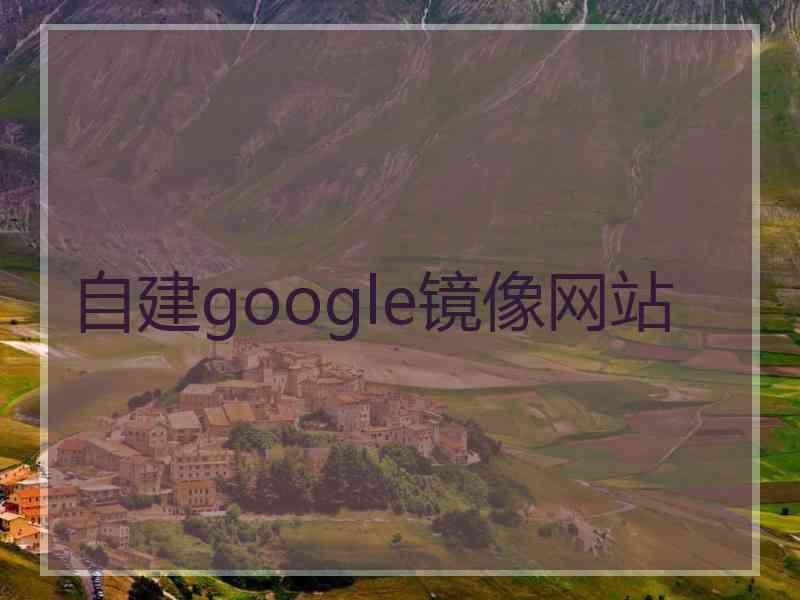 自建google镜像网站 自建google镜像网站