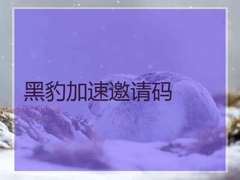 黑豹加速邀请码 黑豹加速邀请码