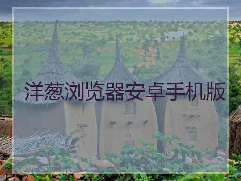 洋葱浏览器安卓手机版 洋葱浏览器安卓手机版