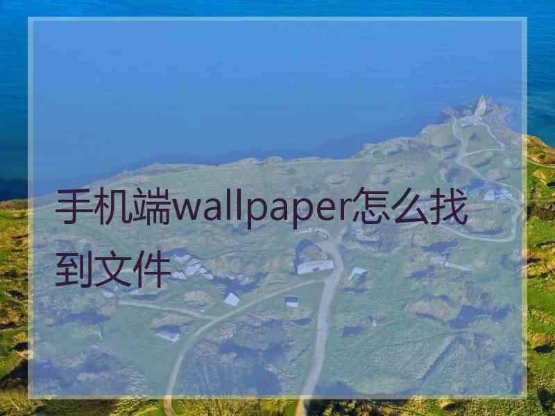 手机端wallpaper怎么找到文件 手机端wallpaper怎么找到文件