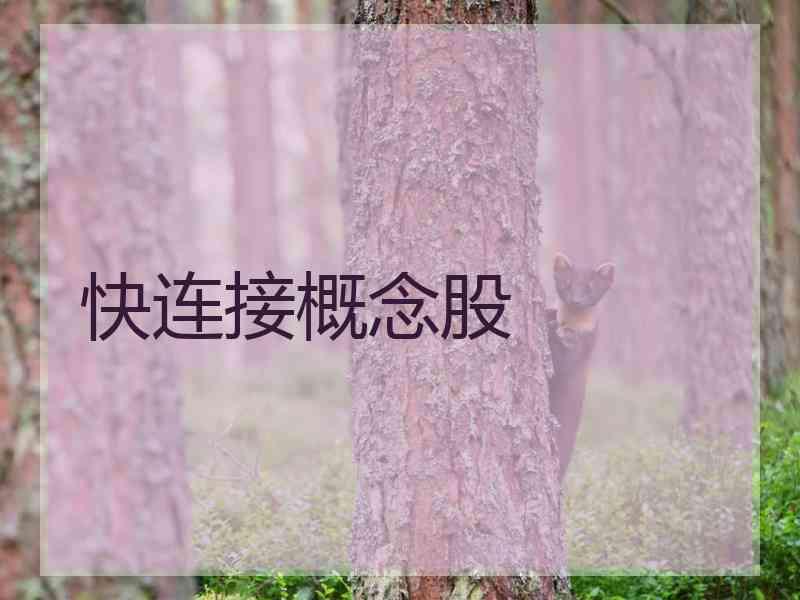 快连接概念股 快连接概念股