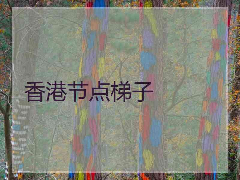 香港节点梯子 香港节点梯子