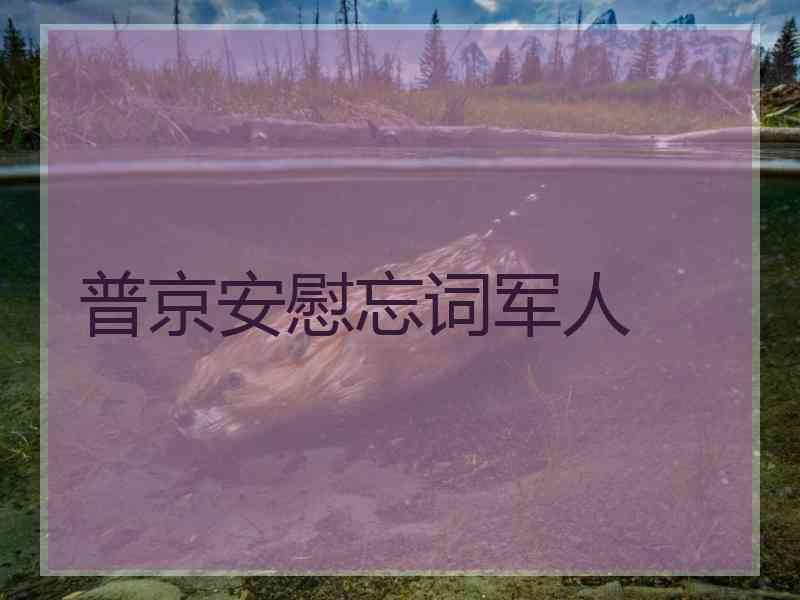 普京安慰忘词军人 普京安慰忘词军人