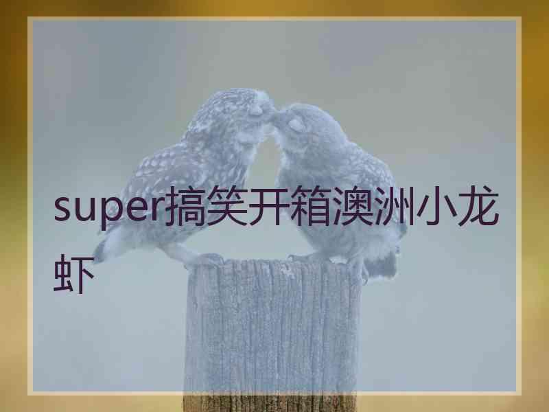 super搞笑开箱澳洲小龙虾 super搞笑开箱澳洲小龙虾