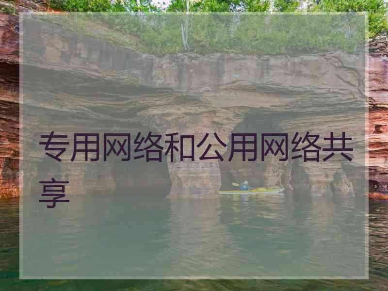 专用网络和公用网络共享 专用网络和公用网络共享