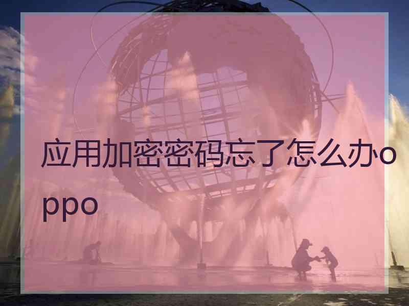 应用加密密码忘了怎么办oppo 应用加密密码忘了怎么办oppo