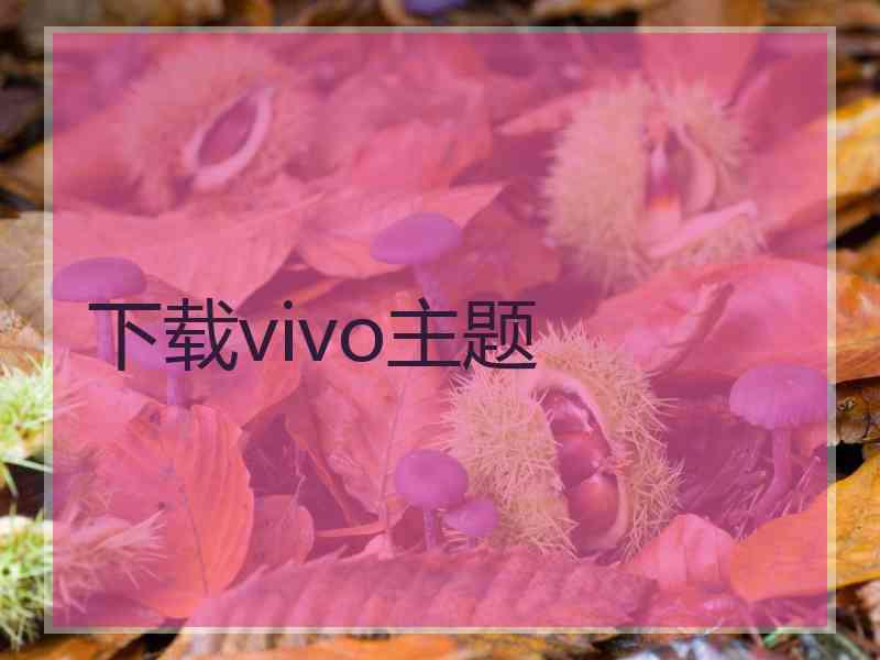 下载vivo主题 下载vivo主题