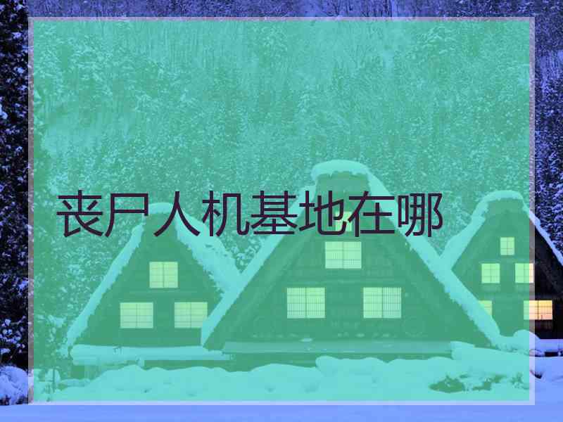 丧尸人机基地在哪 丧尸人机基地在哪