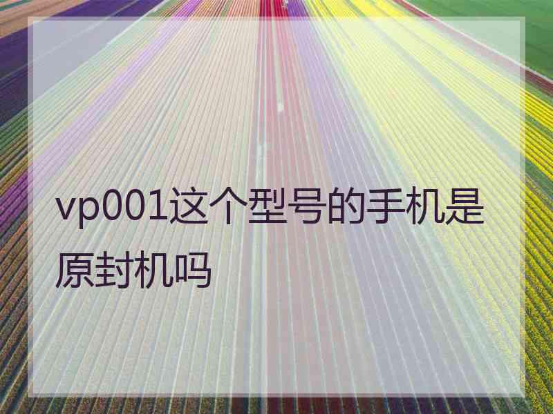vp001这个型号的手机是原封机吗 vp001这个型号的手机是原封机吗