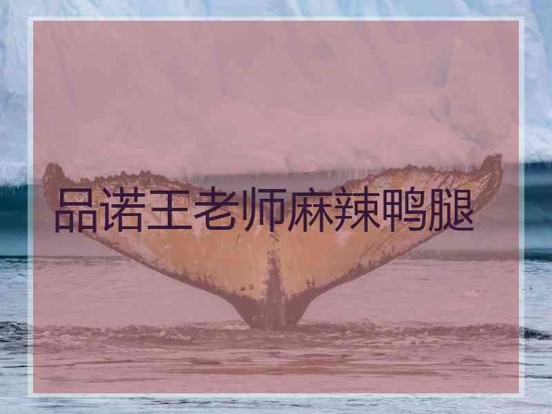 品诺王老师麻辣鸭腿 品诺王老师麻辣鸭腿