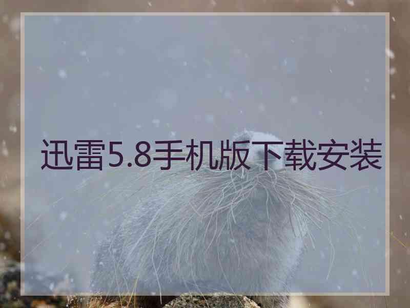迅雷5.8手机版下载安装 迅雷5.8手机版下载安装