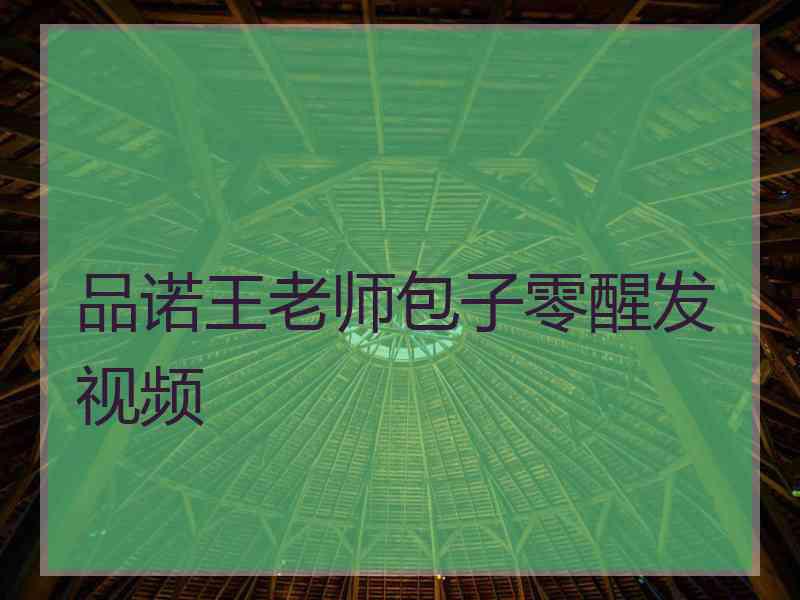 品诺王老师包子零醒发视频 品诺王老师包子零醒发视频