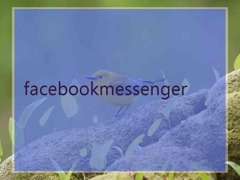 facebookmessenger facebookmessenger
