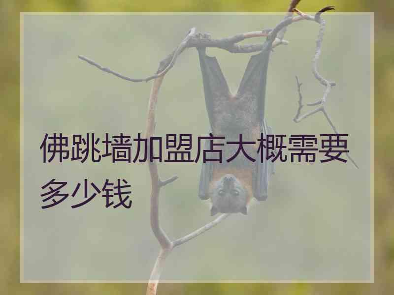 佛跳墙加盟店大概需要多少钱 佛跳墙加盟店大概需要多少钱